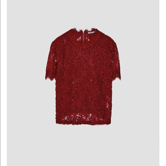 Zara Lace Top - Picture 7 of 8